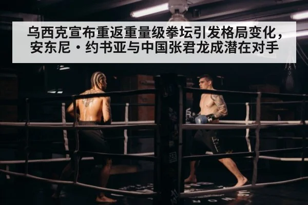 Oleksandr Usyk fight