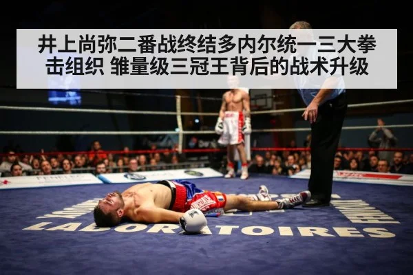 井上尚弥二番战终结多内尔统一三大拳击组织 雏量级三冠王背后的战术升级