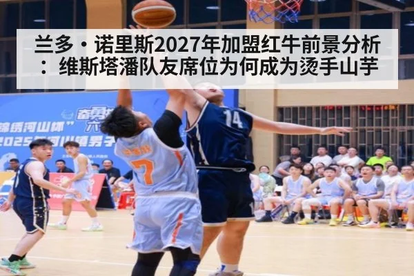 兰多·诺里斯2027年加盟红牛前景分析：维斯塔潘队友席位为何成为烫手山芋